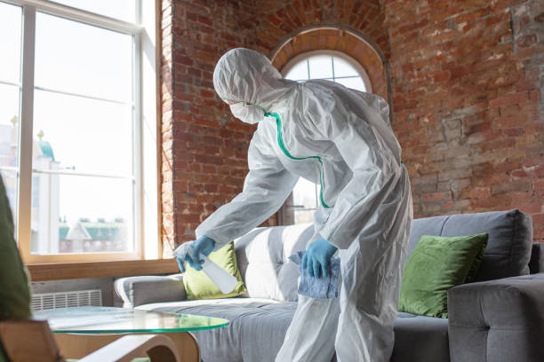 Best Asbestos and Lead Testing During Mold Inspection  in Greenville, SC